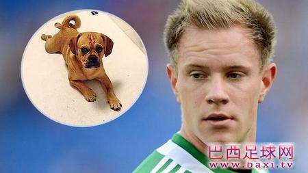 善心球迷帮忙，门兴门将特尔施特根寻回爱犬