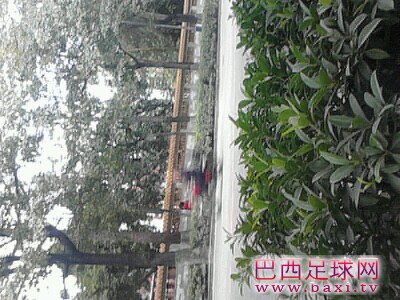 IMG20130120132800.jpg