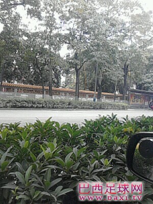 IMG20130120133418.jpg