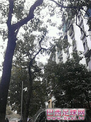 IMG20130120133917.jpg