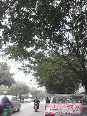 IMG20130126163703.jpg