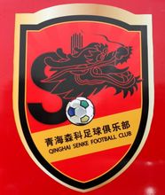 青海森科足球俱乐部.jpg