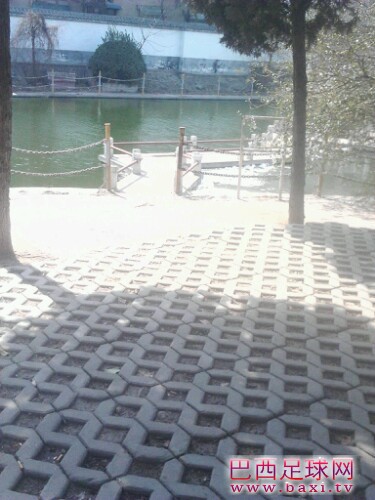IMG20130303122314.jpg