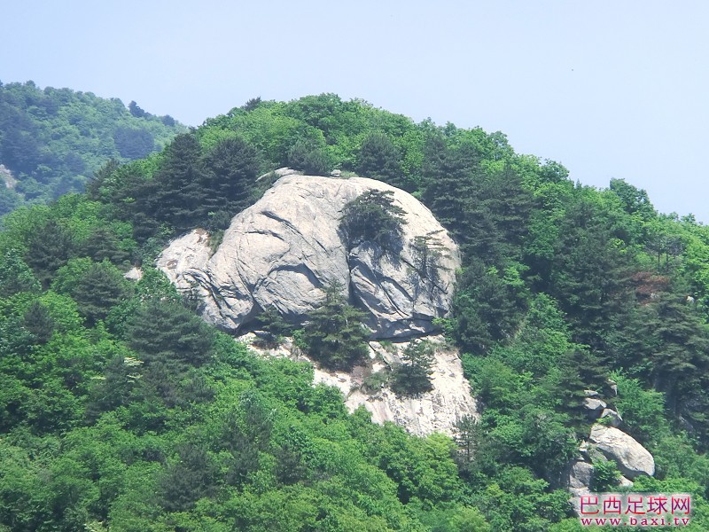 29.jpg