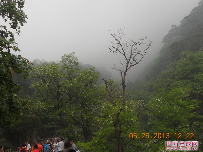 大泰山17.jpg