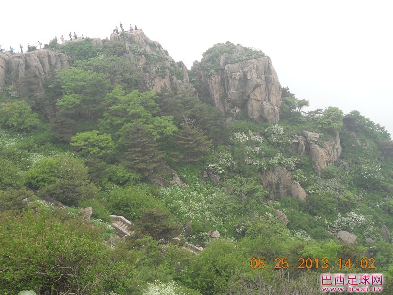 大泰山26.jpg