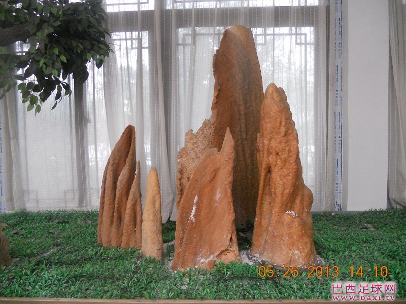 大明湖16.jpg