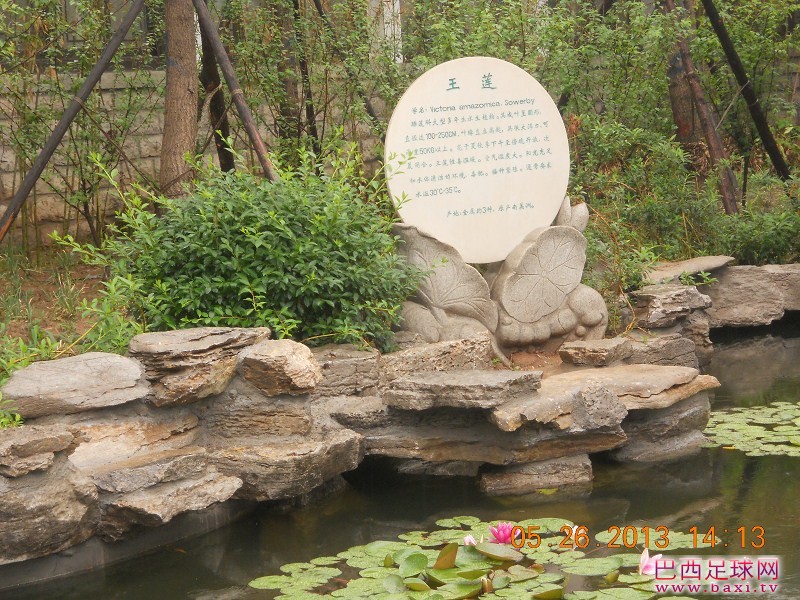 大明湖20.jpg
