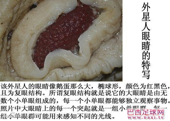 30adcbef76094b36aee35c4ca2cc7cd98d109d19.jpg