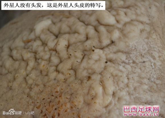 f9198618367adab4d1945ce28ad4b31c8601e4cf.jpg