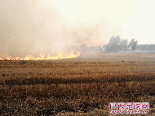 IMG20130612204827.jpg
