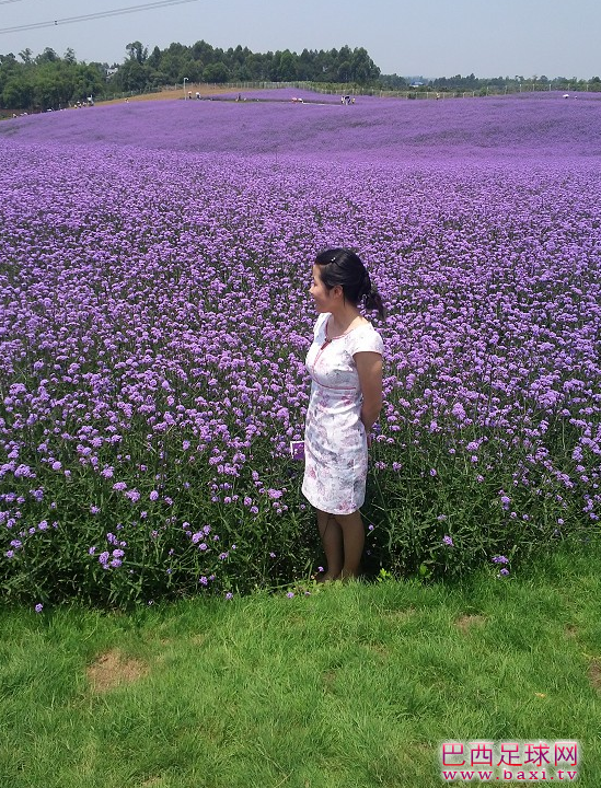 QQ截图20130616210109.png