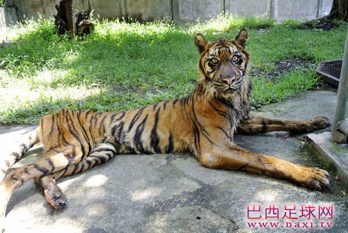 Img380871323.jpg
