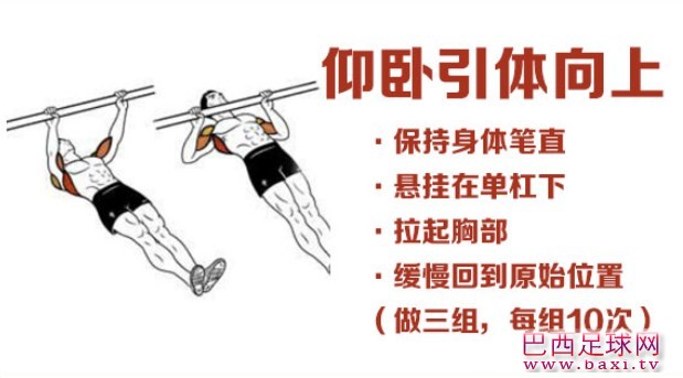 仰卧引体向上.jpg