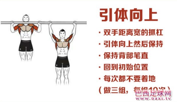 引体向上.jpg