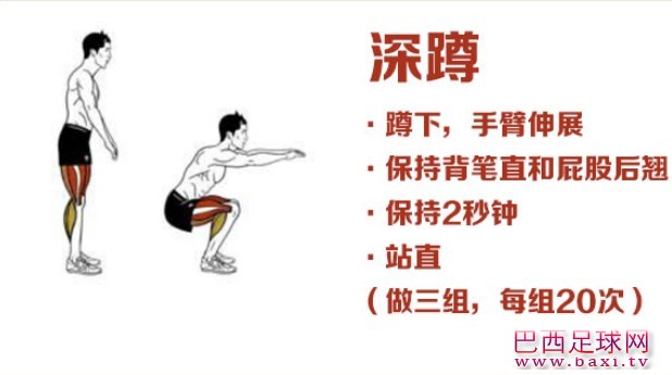 深蹲.jpg