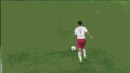 8.gif