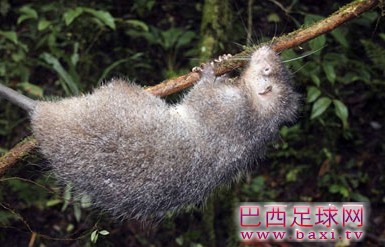 20130829165424959.jpg
