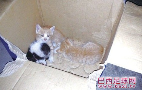 20130829165425304.jpg