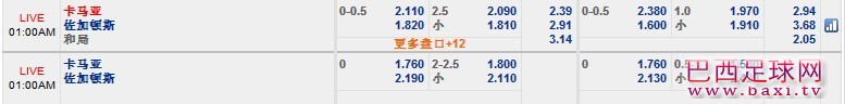 佐加顿斯.jpg