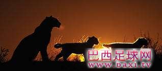 足球人生：为梦想,我们豁出去了6.jpg