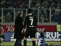 假摔7.gif