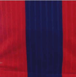 巴塞罗那4.gif