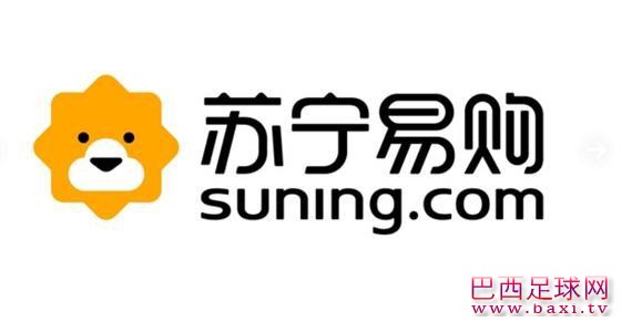 苏宁.jpg